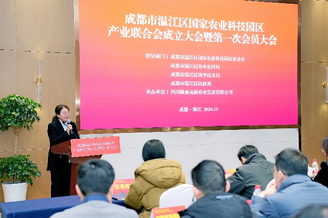 大會(huì)現(xiàn)場(chǎng)。主辦方供圖