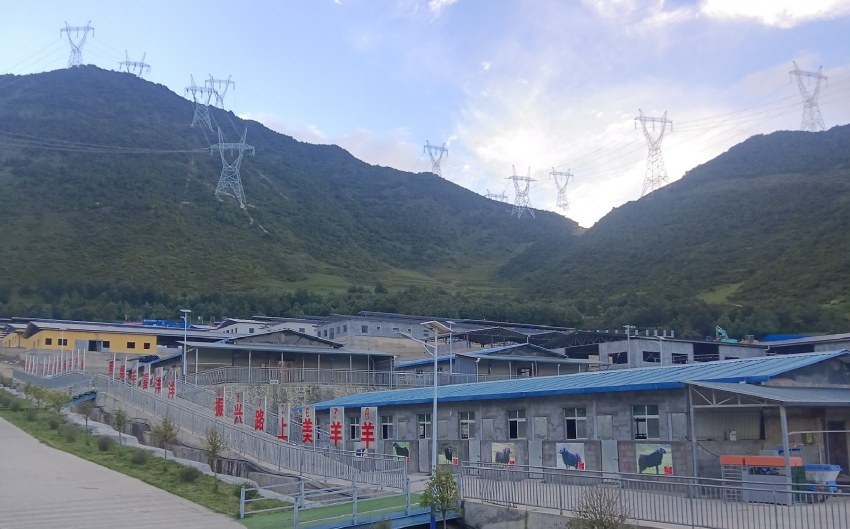 國家能源四川公司打造的布拖黑綿羊現代農業園區養殖廠房。四川省國資委供圖