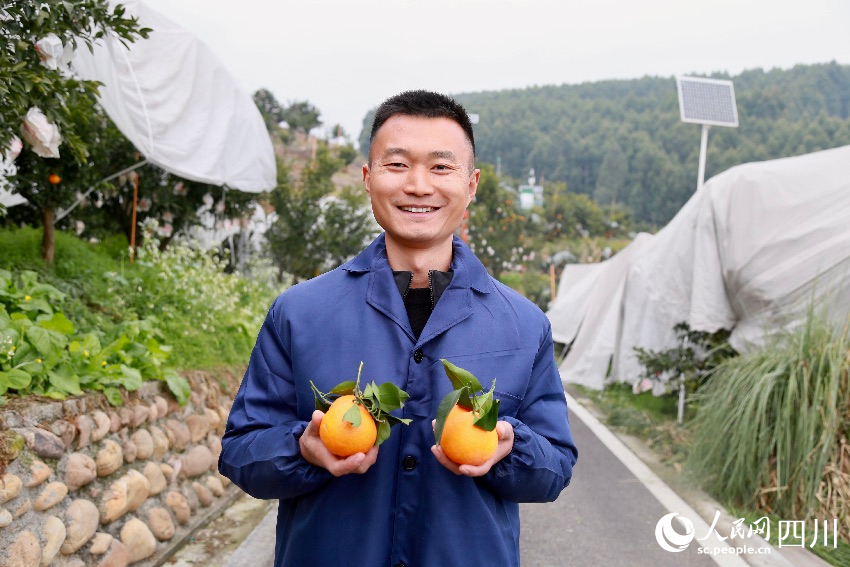 丹棱縣齊樂鎮紅石村的種植大戶郭海。人民網記者 朱虹攝