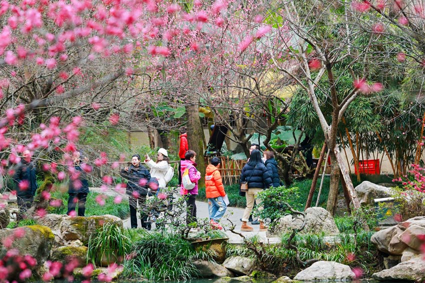 草堂到處是美景，游客隨地都開心。杜甫草堂供圖