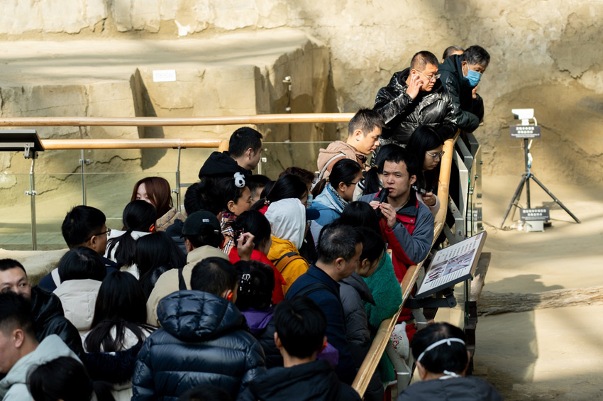 志愿者開(kāi)展公益講解。金沙遺址博物館供圖