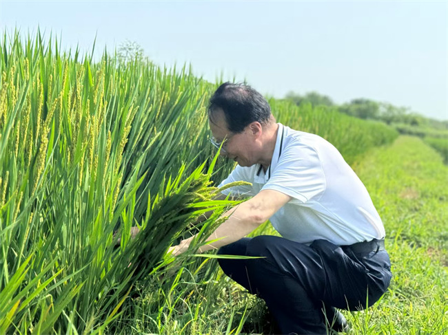 全國人大代表耿福能深入田間地頭調研。好醫生集團供圖