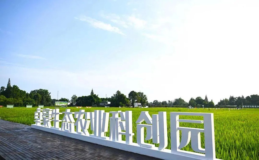 卓豪生態農業科創園。成都市農業農村局供圖