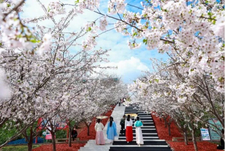 錦門景區。成都市文廣旅局供圖