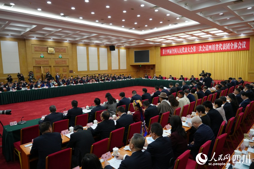 十四屆全國人大三次會議四川代表團舉行開放團組會議。人民網記者 李平攝