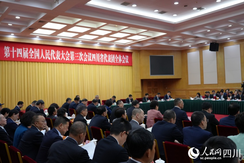 四川代表團(tuán)舉行開(kāi)放團(tuán)組會(huì)議。人民網(wǎng)記者 李平攝