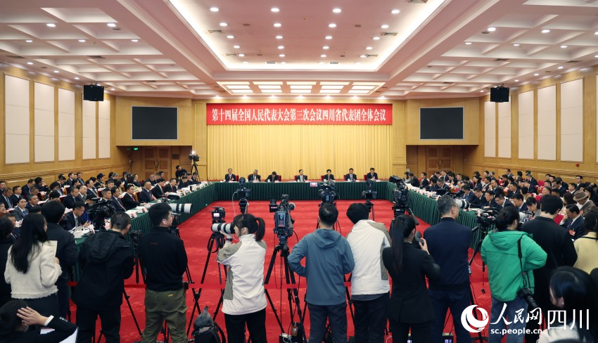 十四屆全國人大三次會議四川代表團舉行開放團組會議。人民網記者 李平攝