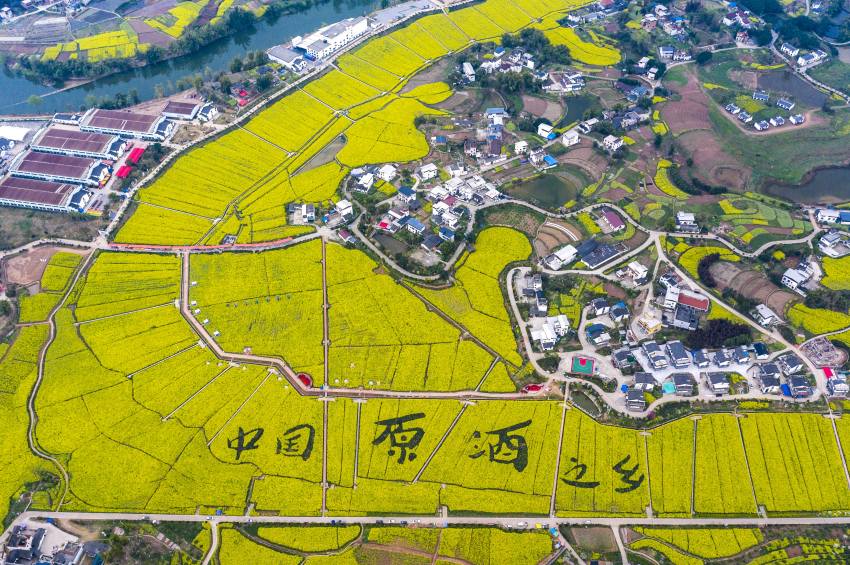 瀘縣譚壩 中國原酒之鄉(xiāng)。向波攝