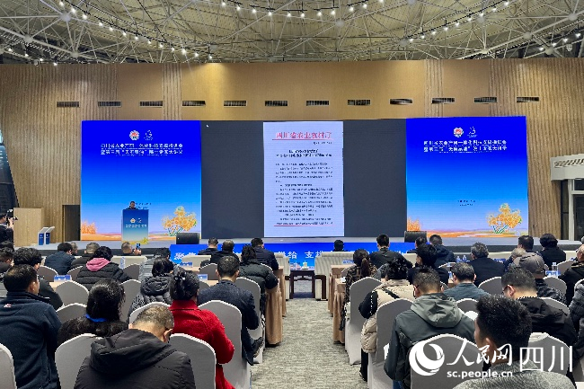 會議現(xiàn)場。人民網(wǎng)記者 朱虹攝