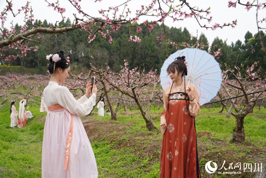 21日，古風愛好者身穿漢服在四川天府新區眉山片區貴平鎮龍江村桃花林里游玩拍照。人民網 趙祖樂攝