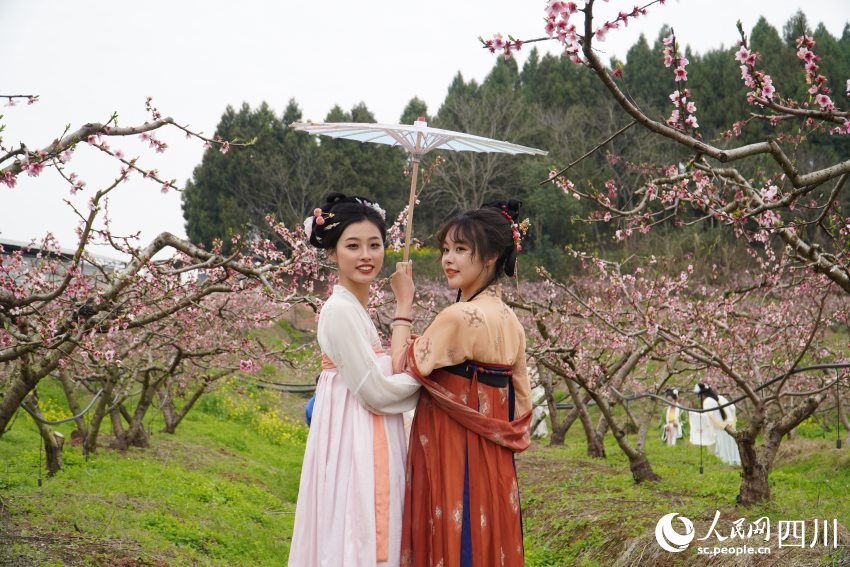 古風(fēng)愛好者身穿漢服在四川天府新區(qū)眉山片區(qū)貴平鎮(zhèn)龍江村桃花林里游玩拍照。人民網(wǎng) 趙祖樂攝
