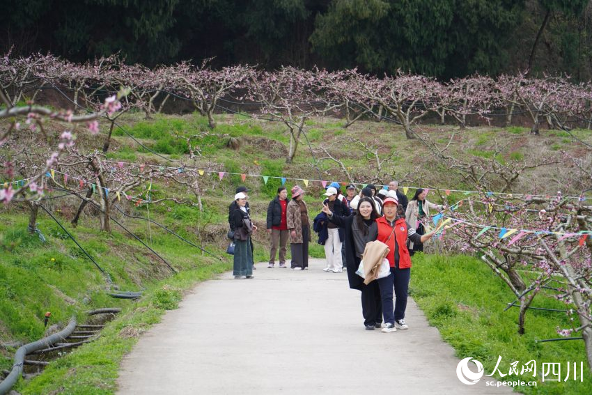 游客在桃花林游玩賞花。人民網 趙祖樂攝