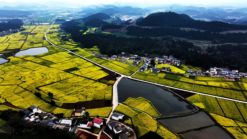 中江縣黃鹿鎮產業基地。肖開豐攝