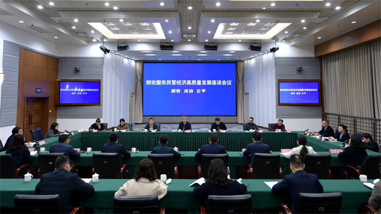 座談會現場。四川省稅務局供圖