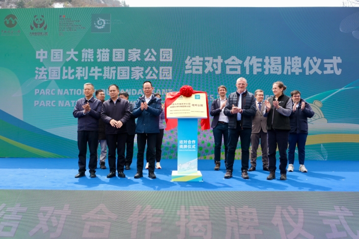 4月1日，中國大熊貓國家公園與法國比利牛斯國家公園結對合作揭牌儀式現場。新華社記者 張雅雯 攝