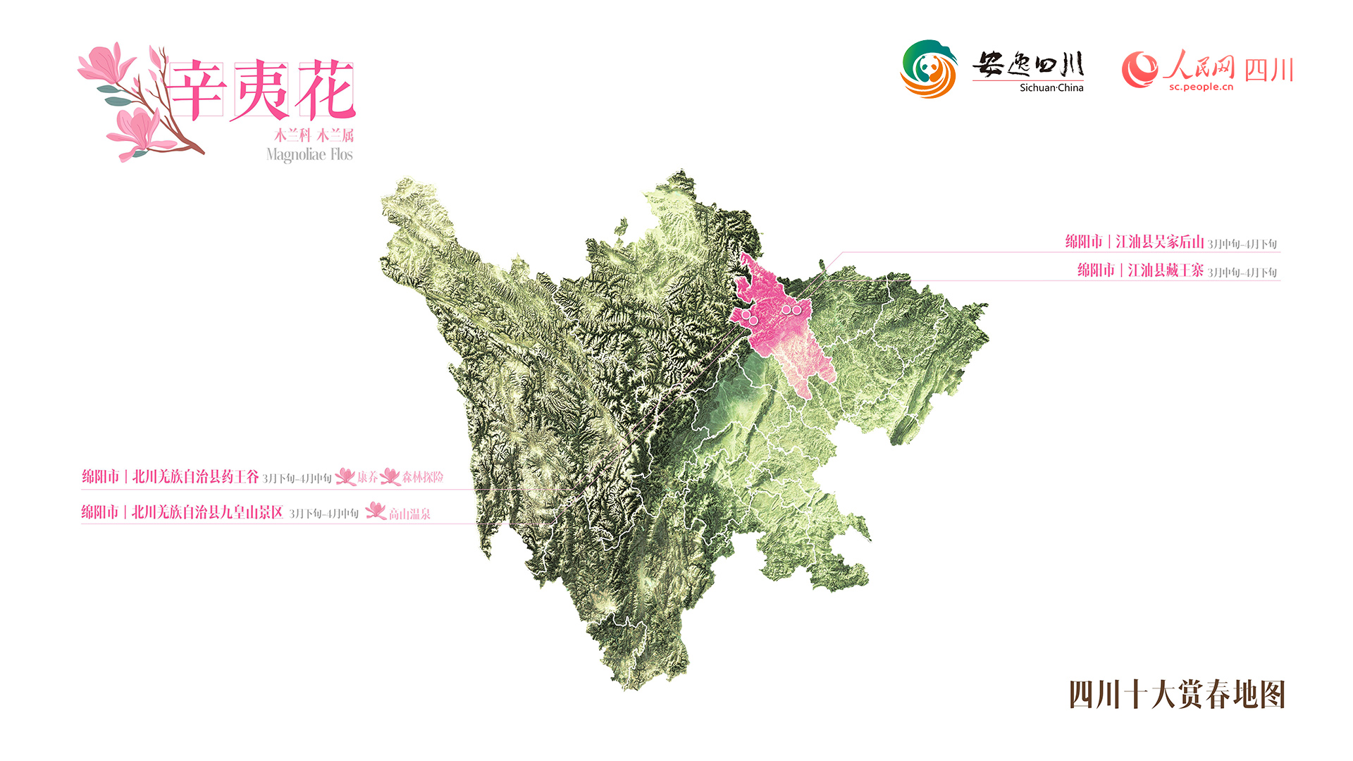 辛夷花