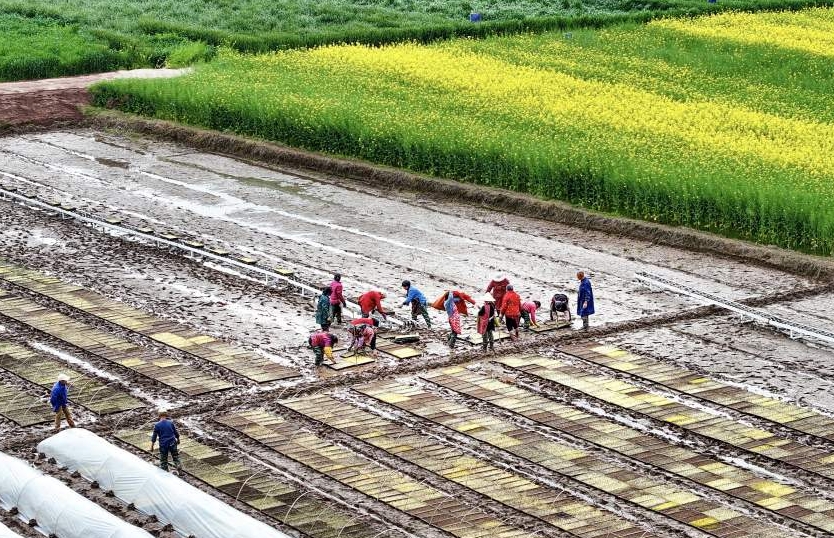 齊心協(xié)力，為新一年的農(nóng)業(yè)豐收鉚足干勁。
