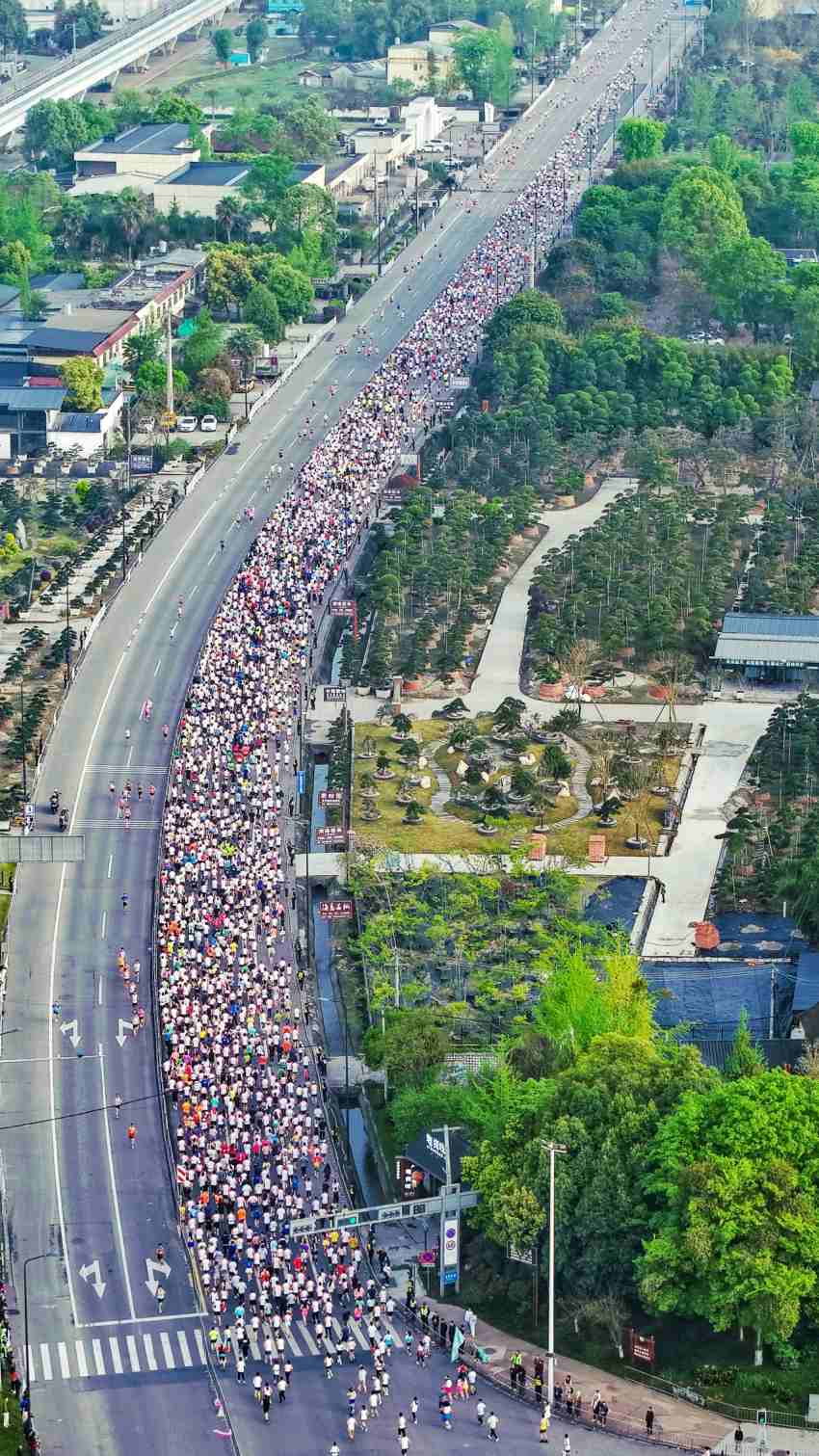 2025溫江半程馬拉松。溫江區委宣傳部供圖