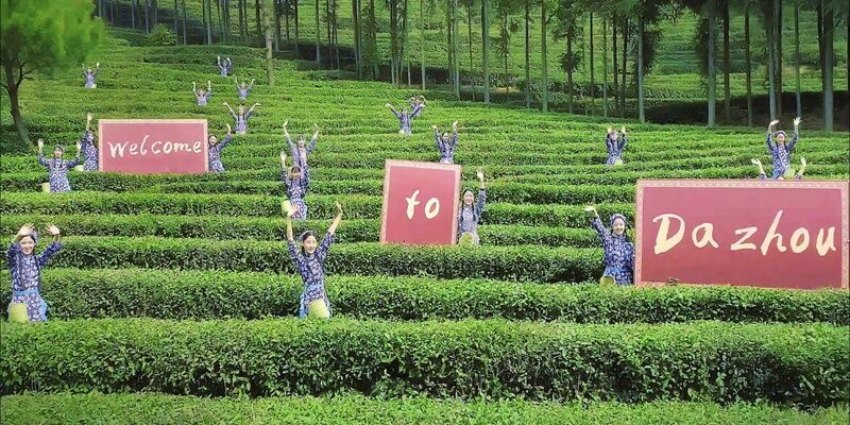 達州的富硒茶。達州市委宣傳部供圖
