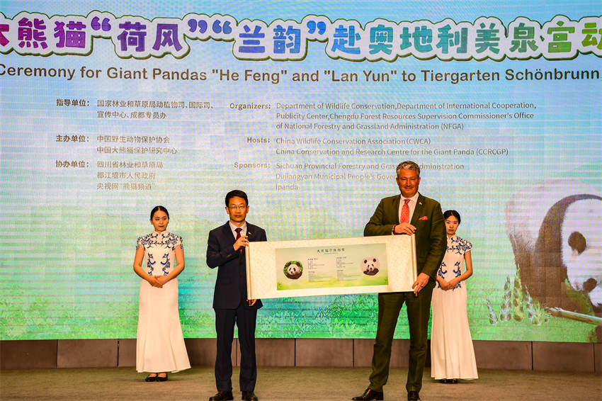 熊貓中心向奧地利美泉宮動(dòng)物園移交大熊貓檔案。大熊貓保護(hù)研究中心供圖