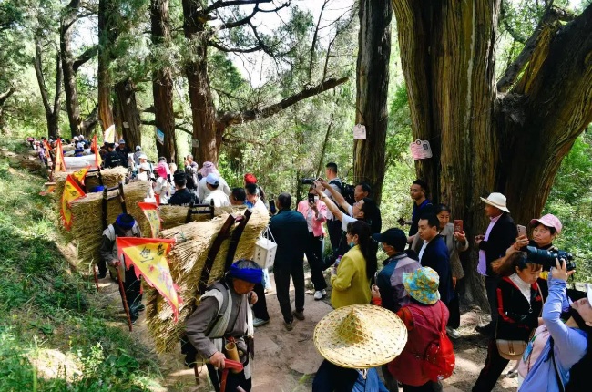 “蜀道鏢運”吸引游客拍照打卡。高寒攝