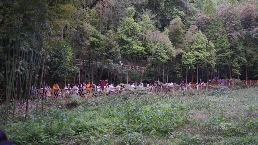 來觀賞螢火蟲的游客。余文攝