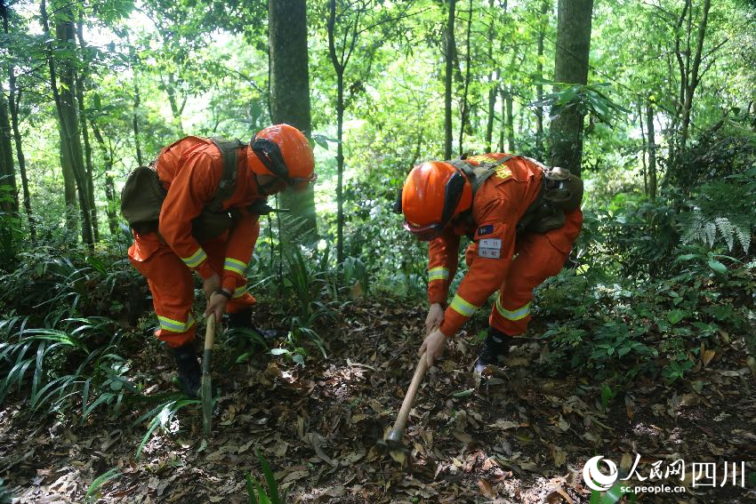 5月1日，在景區(qū)林區(qū)巡護的消防員正在清理堆積的枯樹枝。程雪力攝