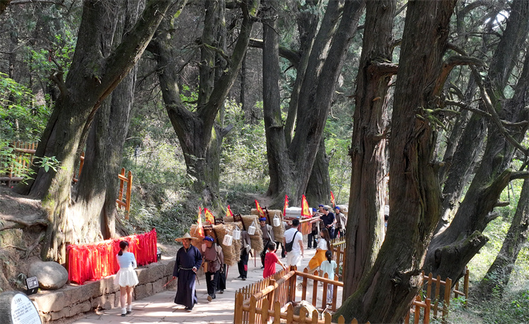 翠云廊景區再現古蜀道上繁榮景象。劍閣縣委宣傳部供圖