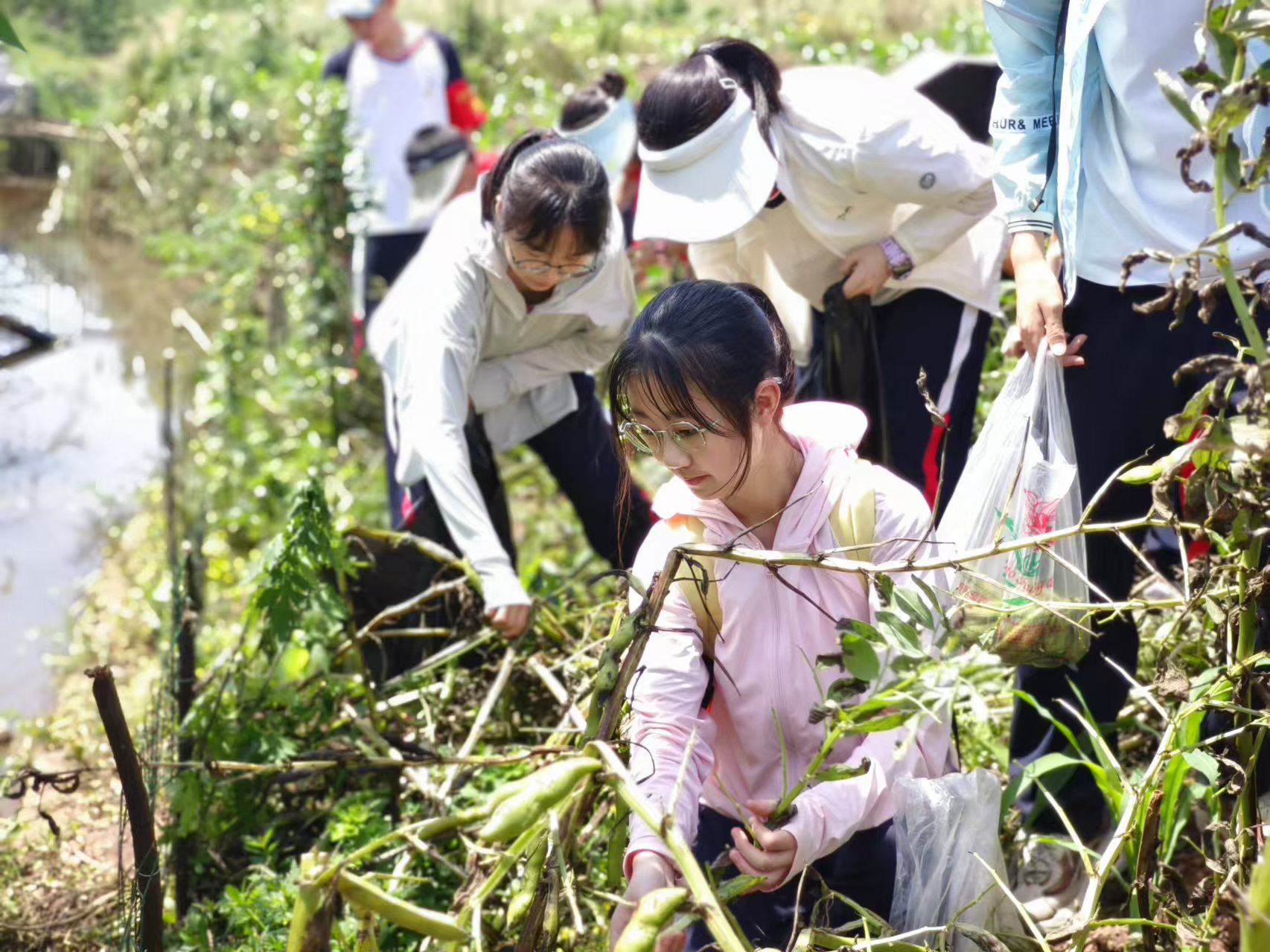 勞動實踐。自貢高新區社軍局供圖