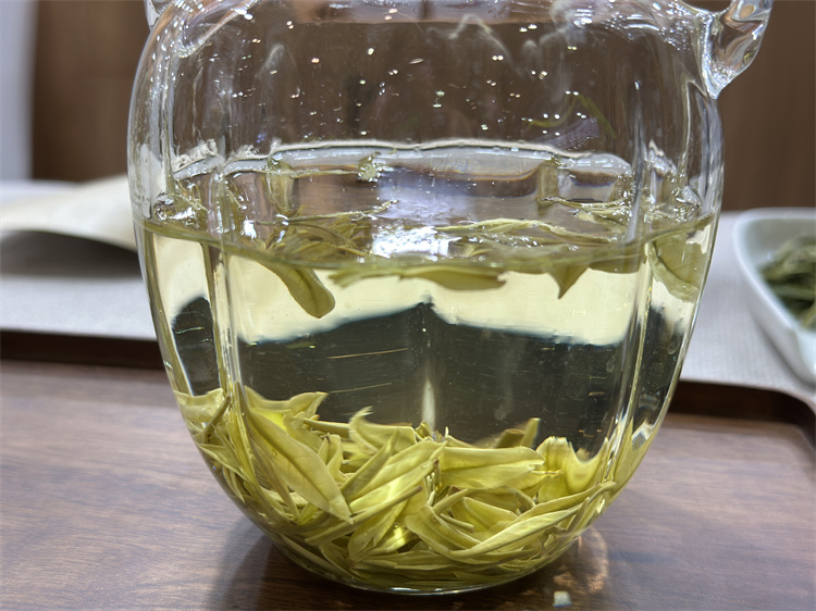 泡好的廣元綠茶。劉懷英供圖