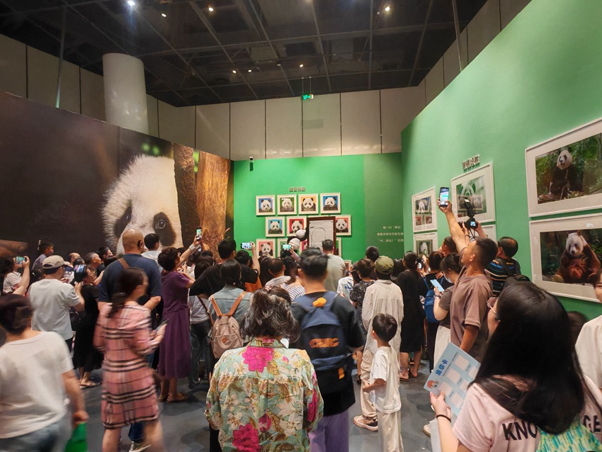 “自然謎語·博物致知”——518走進成都自然博物館系列主題活動。主辦方供圖