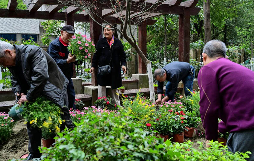 改造現(xiàn)場(chǎng)。錦江區(qū)沙河街道供圖