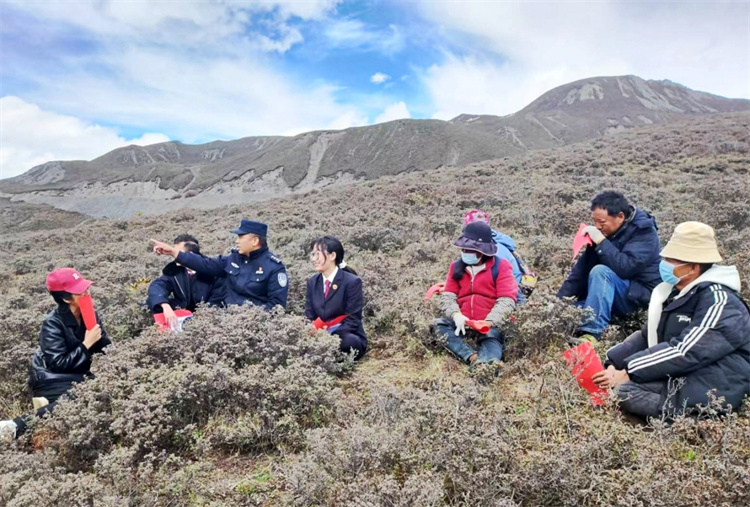蟲草山普法宣傳活動現場。九龍檢察院供圖