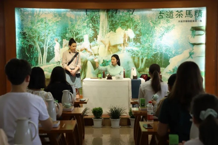 感受茶文化。夾江縣融媒體中心供圖