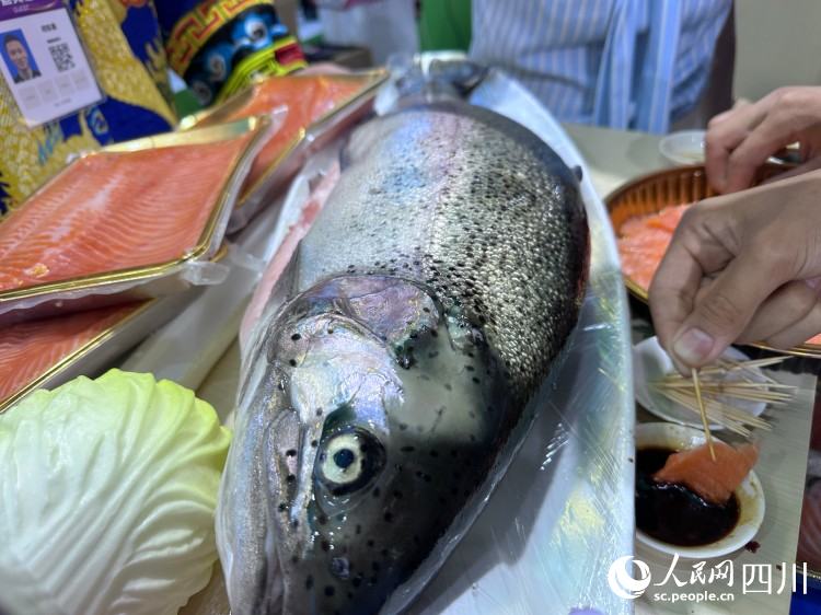 理縣生態養殖魚。人民網記者 王波攝
