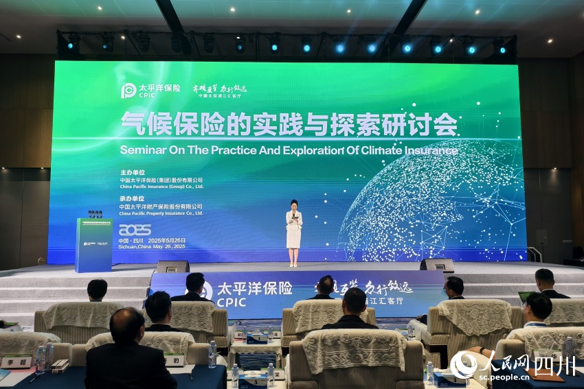 研討會現(xiàn)場。人民網(wǎng) 趙祖樂攝