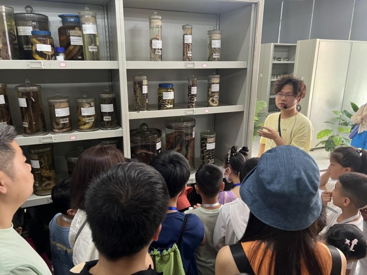 科普講解員李茂良在兩棲爬行動物標本館為青少年講解蛇類標本。四川天府新區融媒體中心供圖