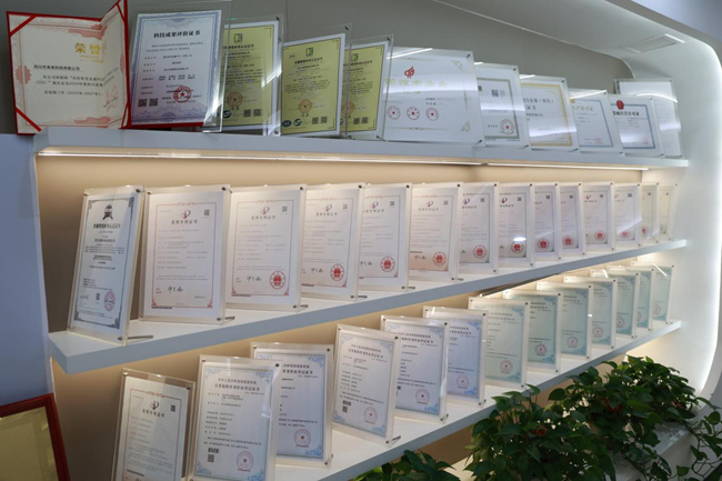 杰萊美公司專利展示。龍泉驛發布供圖