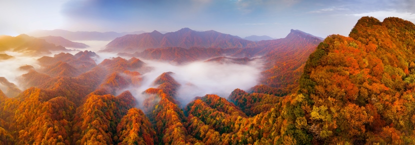 光霧山秋季紅葉景觀。巴中文旅供圖