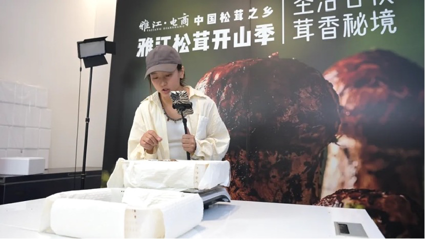 直播現(xiàn)場(chǎng)。雅江外宣供圖