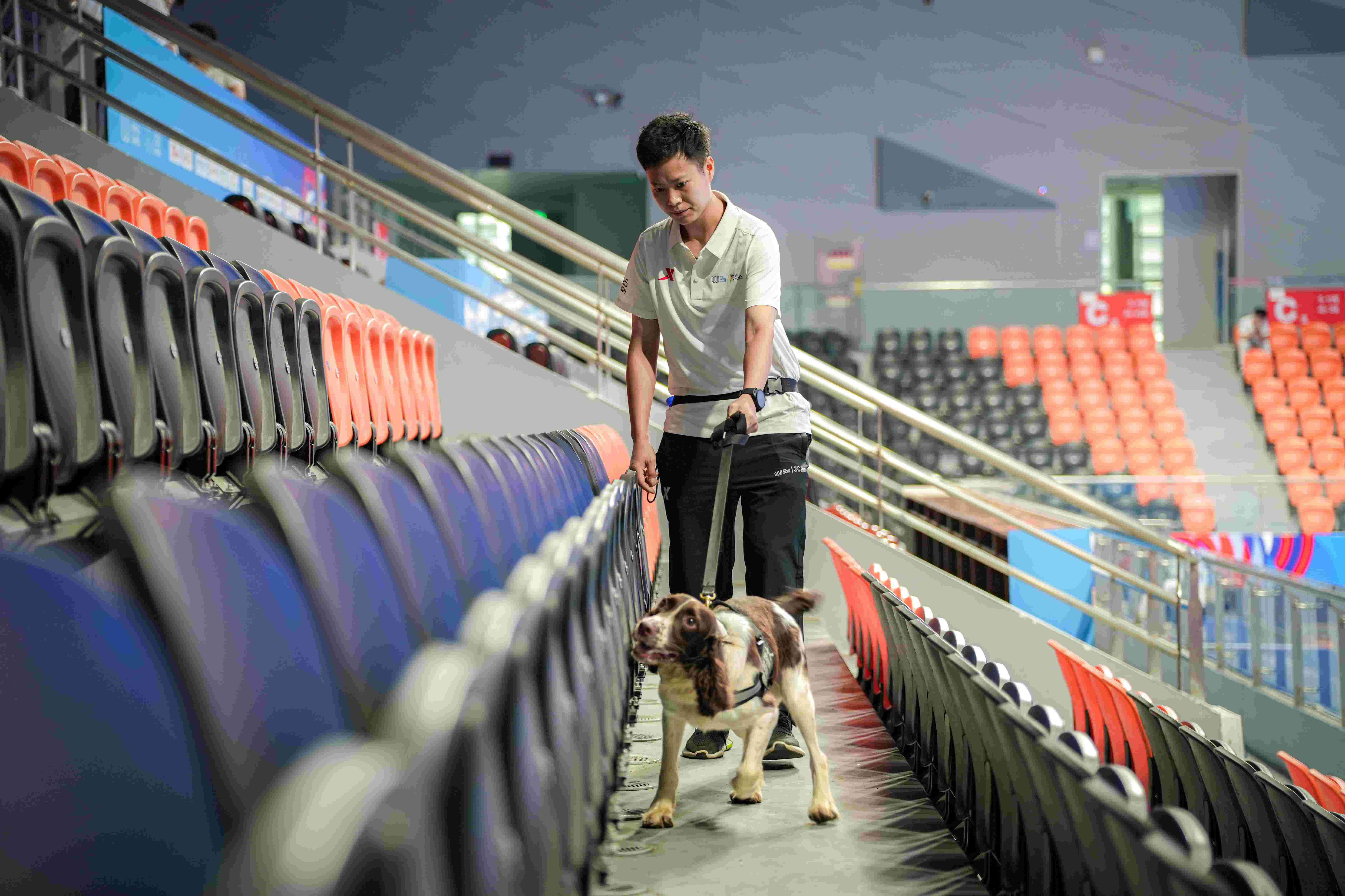 訓犬員吳遠倩與搜爆犬雷霆對觀眾席進行安檢。新都公安供圖