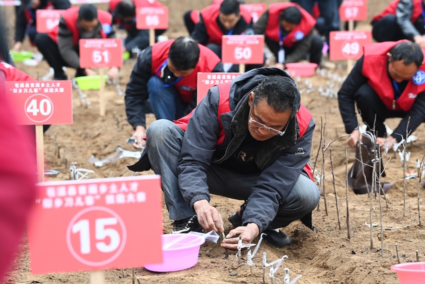 “梨鄉刀兒客”正在進行技能比賽。蒼溪縣人社局供圖