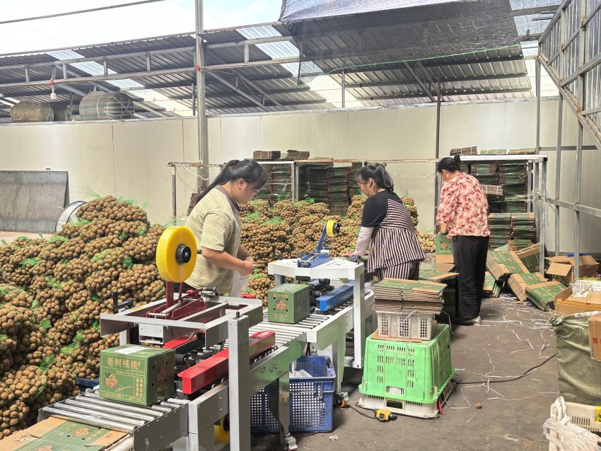 正在對核桃打包。德昌縣委宣傳部供圖