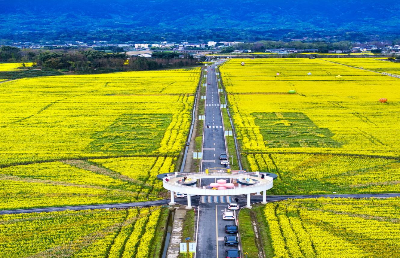 “天府糧倉”洪雅示范區柳江—東岳示范片。洪雅縣黨史和地方志編纂中心供圖