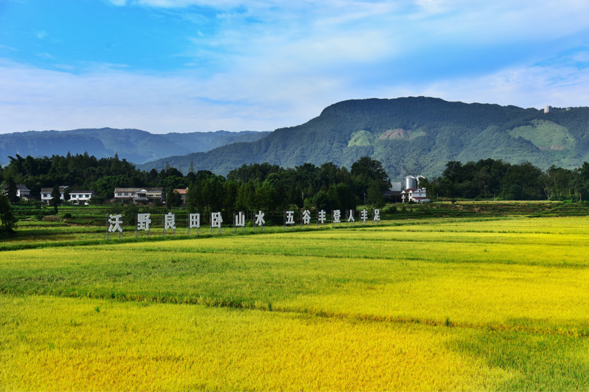 洪雅縣天府糧倉示范片。洪雅縣黨史和地方志編纂中心供圖
