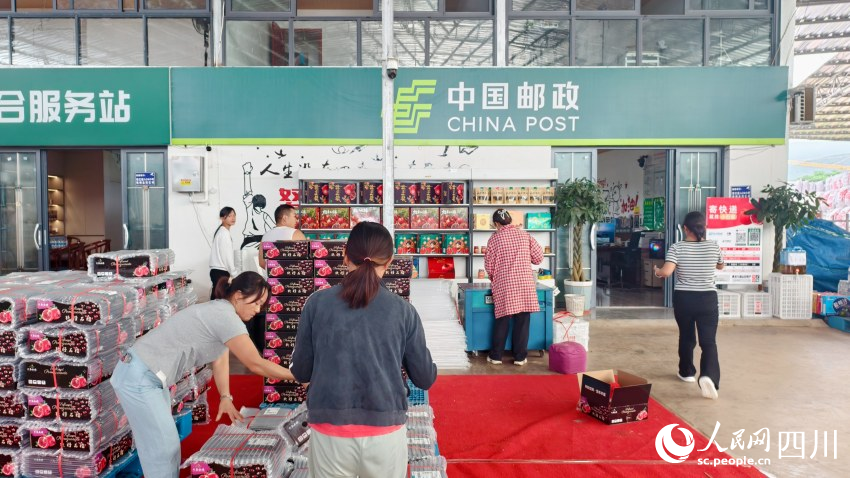 便捷的快遞水果專線為姜州石榴產業發展插上騰飛的翅膀。人民網 趙祖樂攝