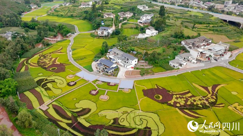 會東縣姜州田園綜合體中和村（部分）。人民網(wǎng) 趙祖樂攝