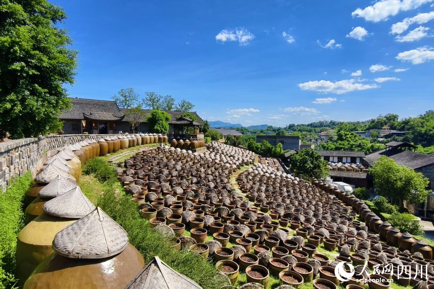 先市醬油赤水河莊園內釀造醬油的陶缸整齊排列。人民網(wǎng) 趙祖樂攝