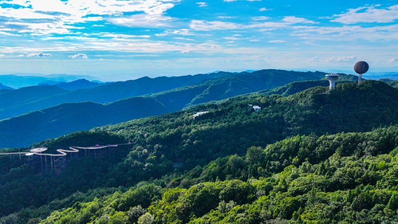 月亮坪森林康養(yǎng)旅游度假區(qū)。張平攝