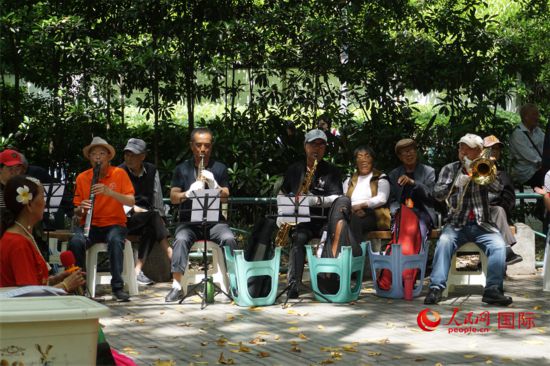 成都居民在公園里演奏歌曲。人民網 王禹蘅攝